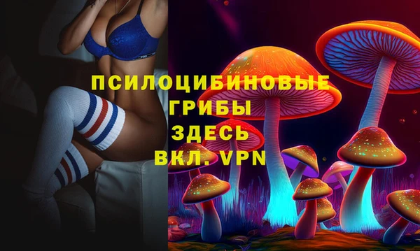 ешки Вязники