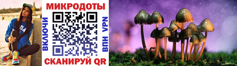 Галлюциногенные грибы Cubensis  купить   Петровск-Забайкальский 